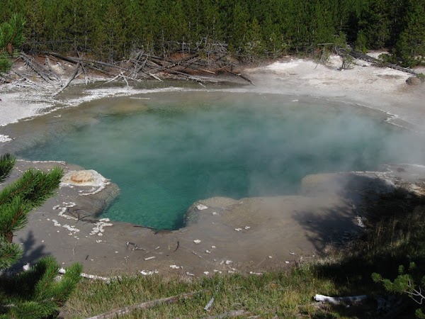 Norris Geyser Basin 3