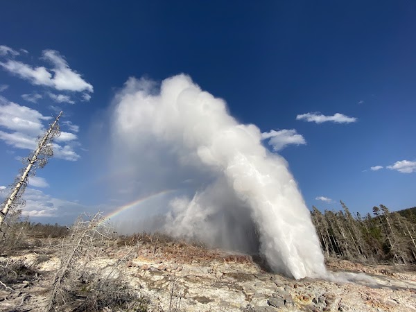 Norris Geyser Basin 2