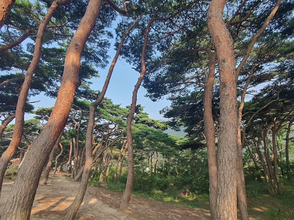 Batjireum Beach 5