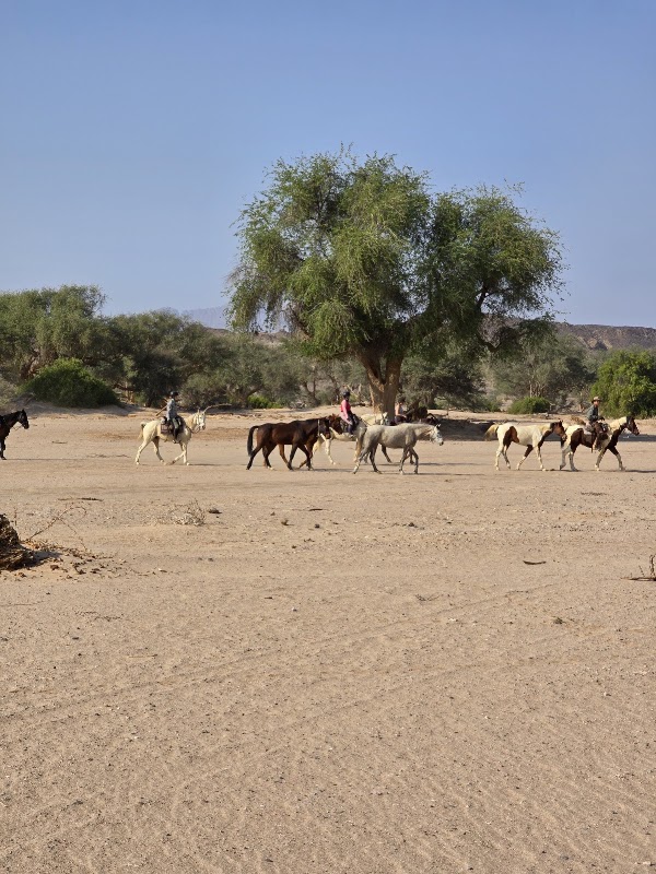 Damaraland Wilderness Camp 3