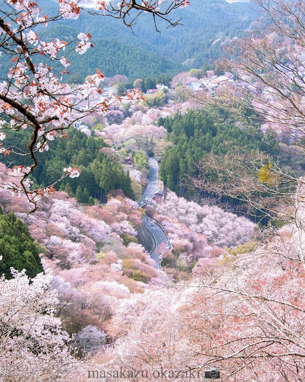 Kami-senbon