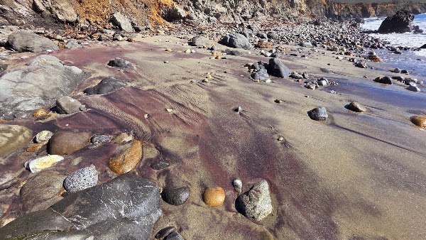 Andrew Molera Beach 4