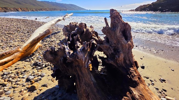 Andrew Molera Beach 2