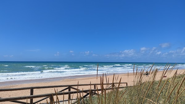 Playa de El Palmar
