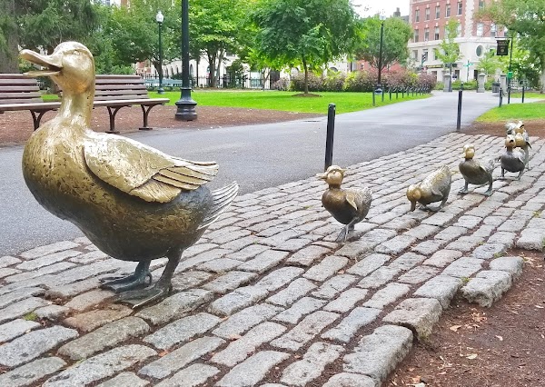 Make Way for Ducklings - Nancy Schön