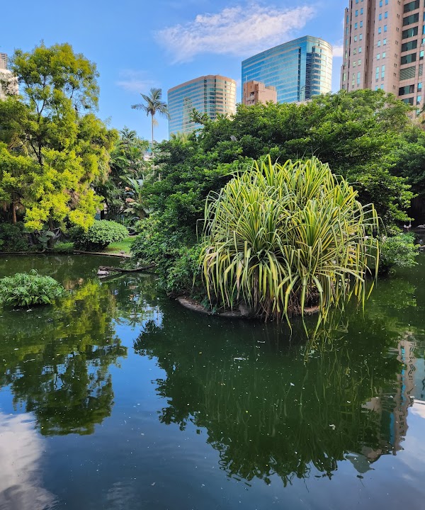 Kowloon Park Bird Lake