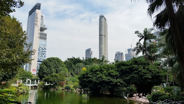 Kowloon Park Bird Lake 4