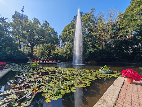 Kowloon Park Bird Lake 3