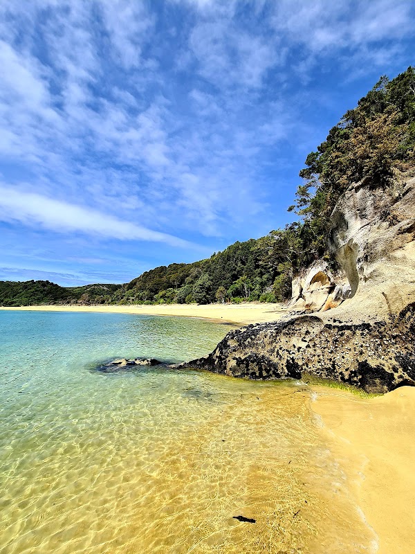 Anchorage Bay Abel Tasman 1