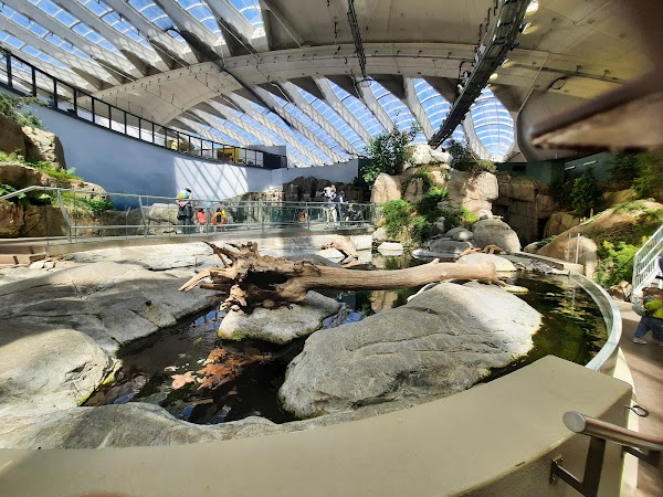 Montreal Biodome 1
