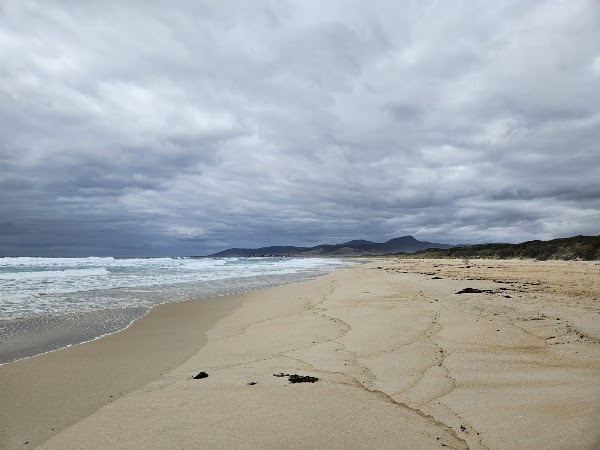 Steels Beach 1