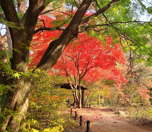 Seoul Dullegil Course 8, Bukhansan Course, Stamp 1
