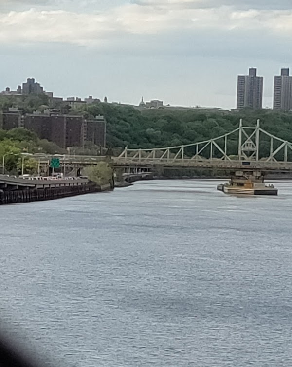 The Bronx 5