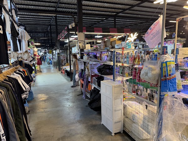 Owl Market 5