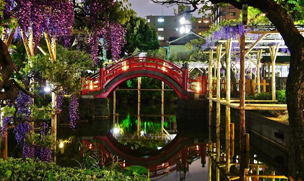 Kameido Tenjin Shrine 5
