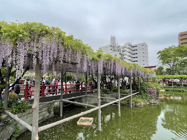 Kameido Tenjin Shrine 4
