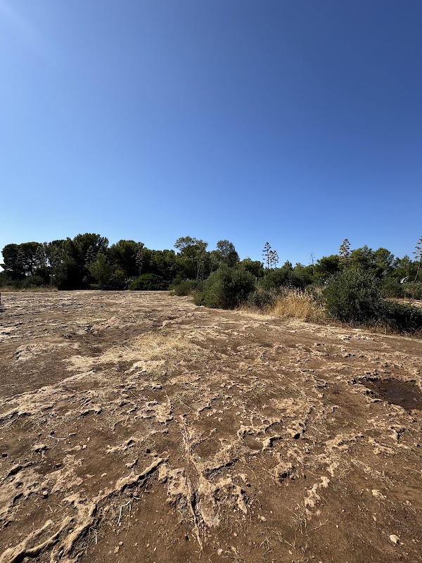 Cala Verde 5