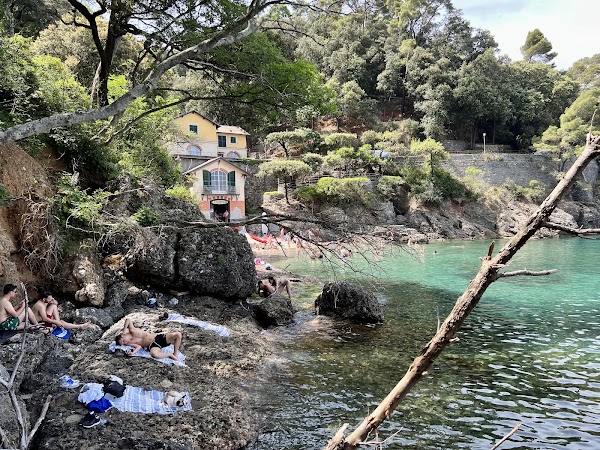 Baia di Niasca