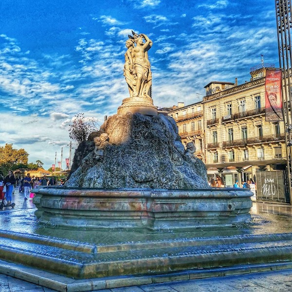 Montpellier 5