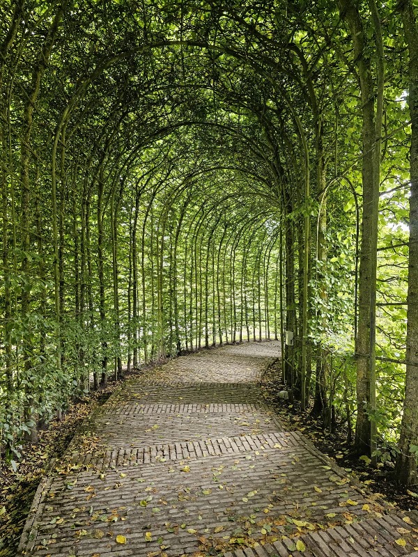 The Alnwick Garden 2