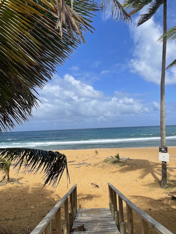 Kiosko El Boricua 3