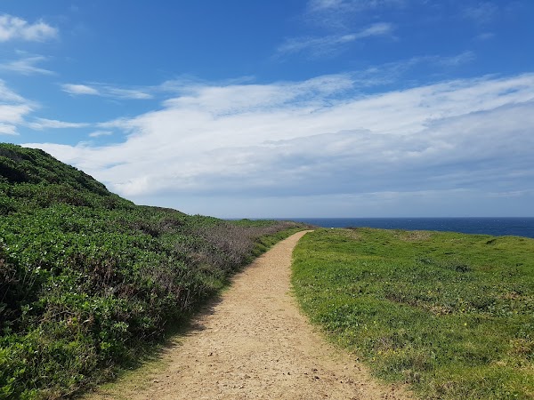 Cape Banks Firetrail