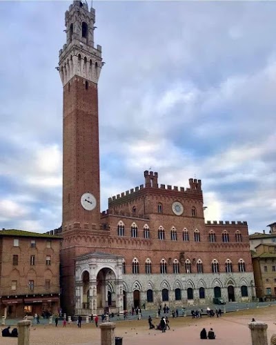 Il Campo