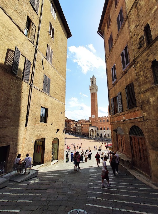 Il Campo 5
