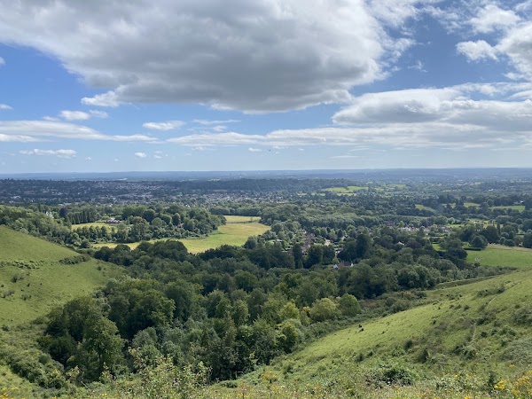 Surrey Hills National Landscape