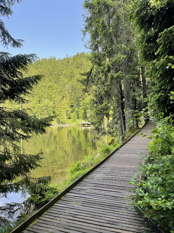 Mummelsee 3