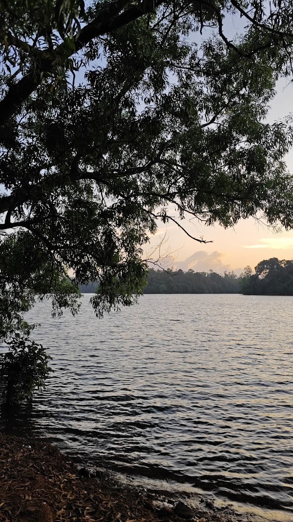 Sharavati Backwater, Hakre
