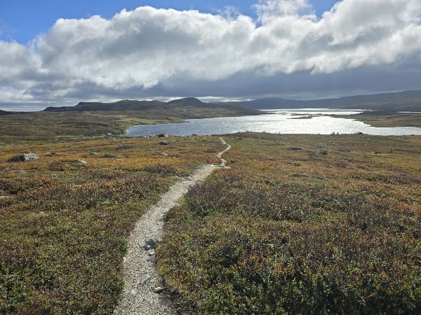 Big Bench #193 - Tänndalen