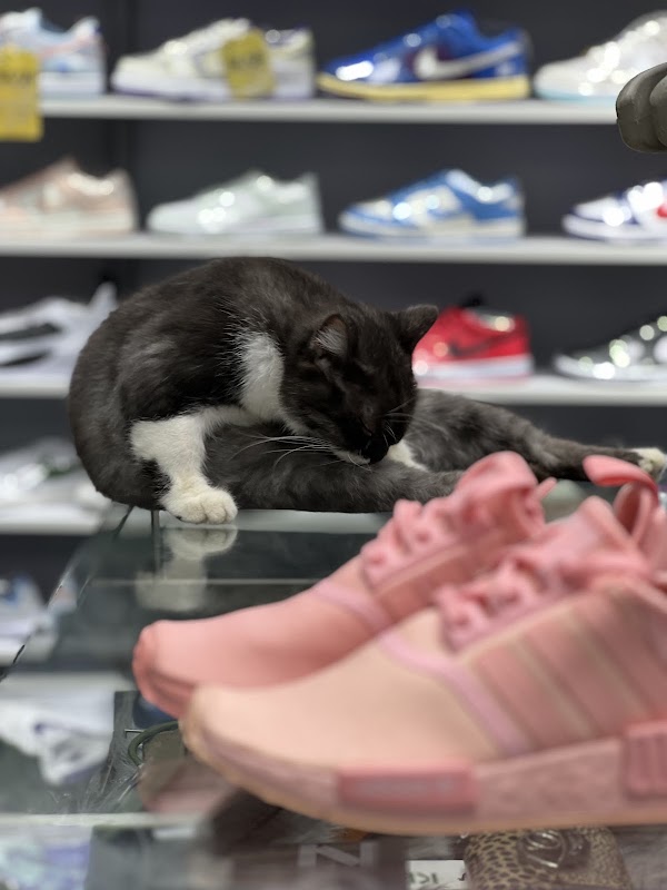 ONLINE SNEAKER STORE 2
