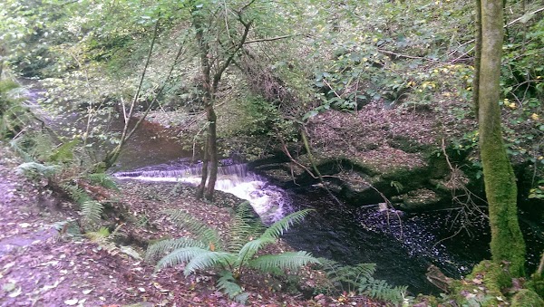 Wales