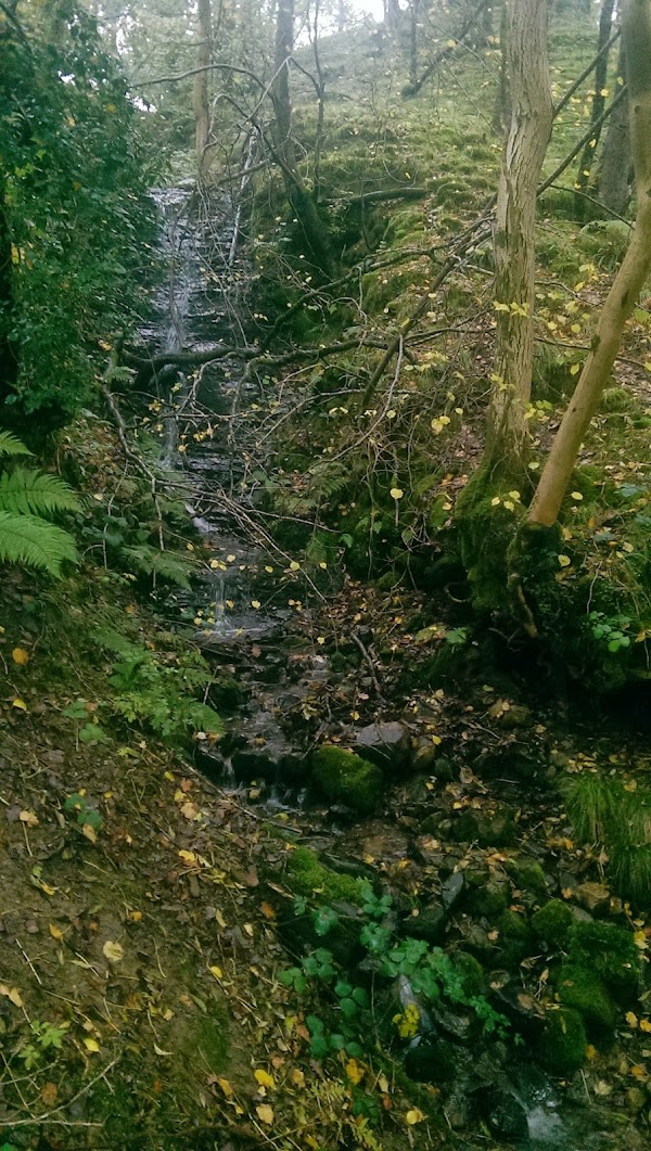 Nant Llech 4