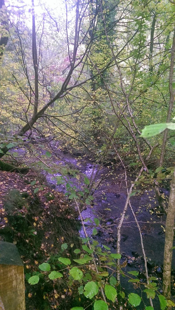 Nant Llech 3