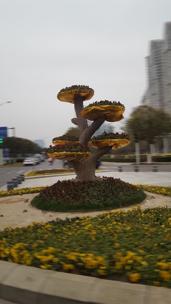 Nanchang 4