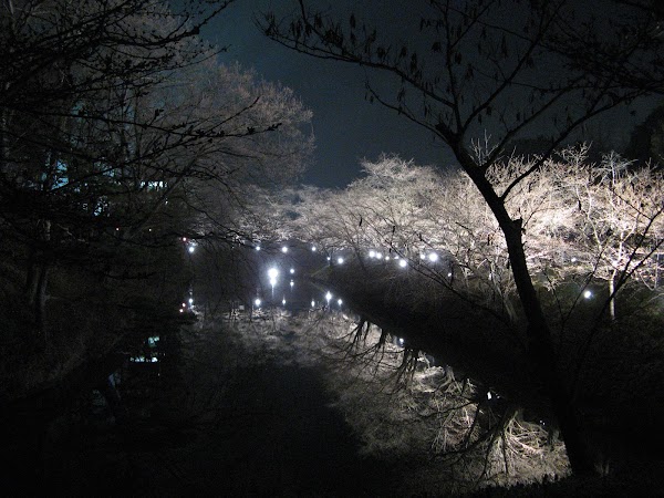 Ueda
