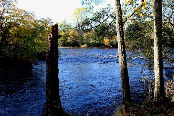 River Ness 2
