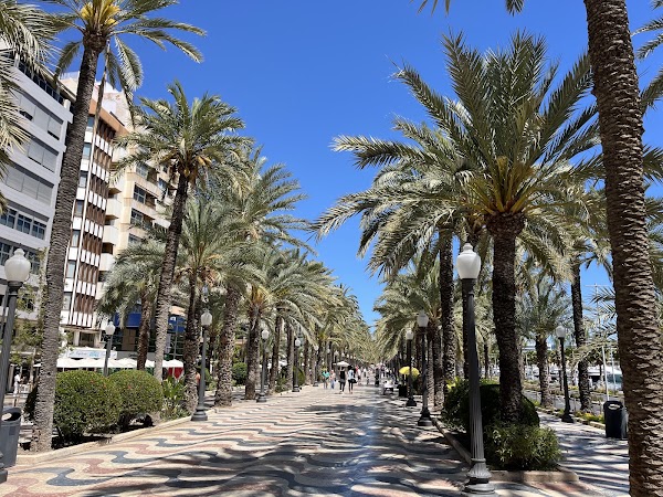 Explanada of Spain - Alicante