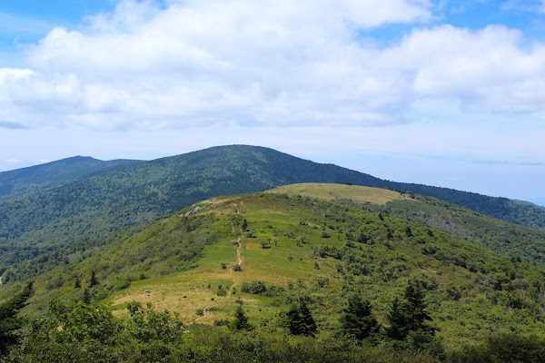 Roan Mountain 1