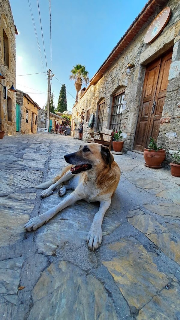 Eski Datça 1