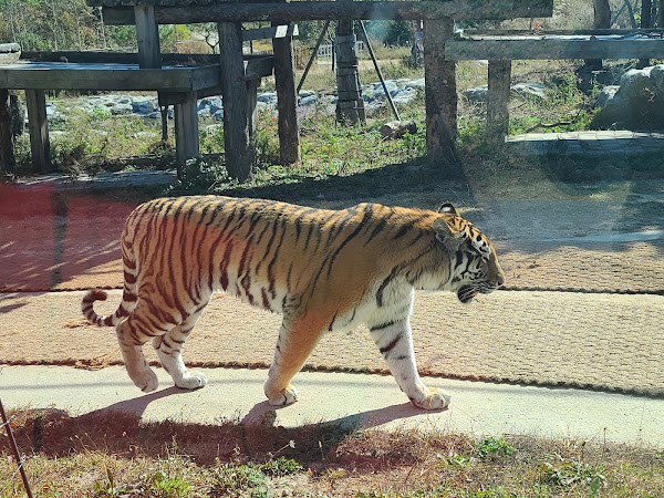 국립백두대간수목원 3