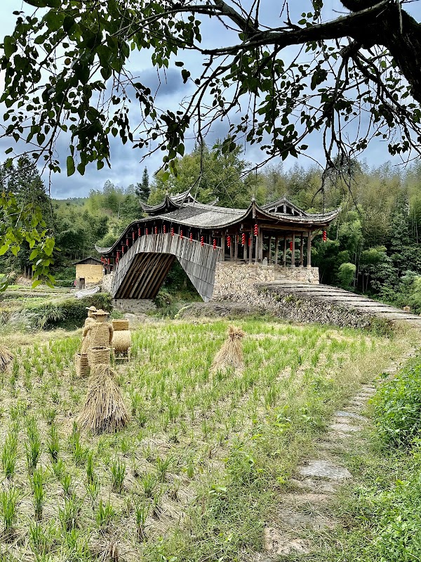 Wenzhou 3