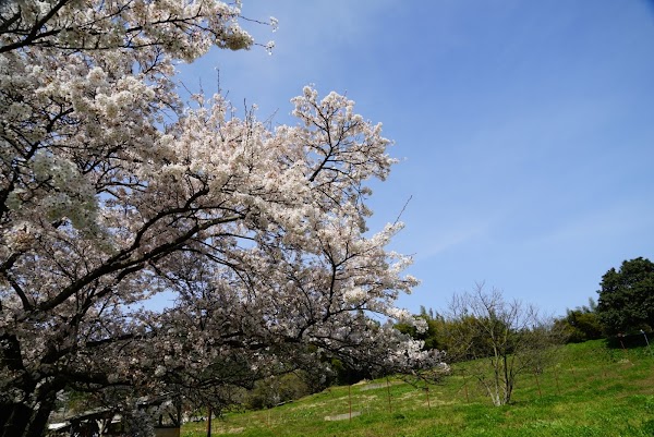 Nambu