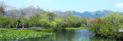 Hakone Botanical Garden of Wetlands