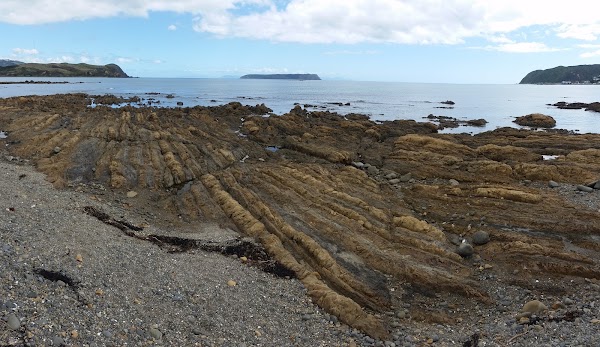 Plimmerton 2
