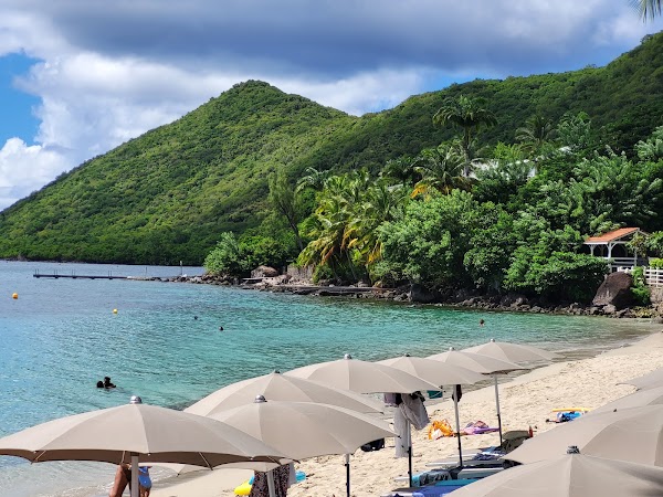 Grande Anse d'Arlet 5