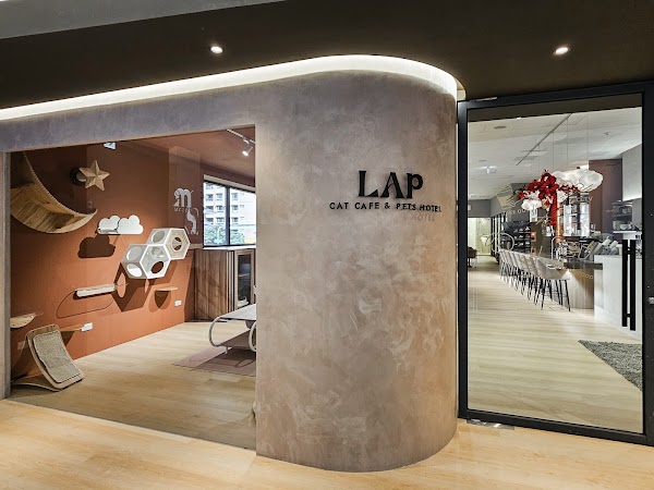 徠寵 LAP Cat Bar & Restaurant ｜品種貓找家長｜貓咪住宿｜貓咪選品｜犬貓美容 1