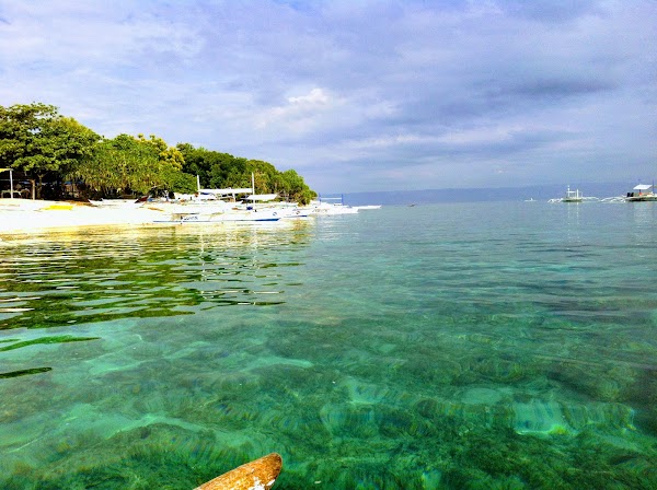 Balicasag Marine Sanctuary 1